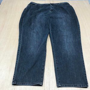 la blues bootcut jeans size 5 plus size fits 22w